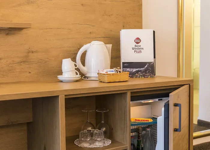 Alpen Hotel 4*