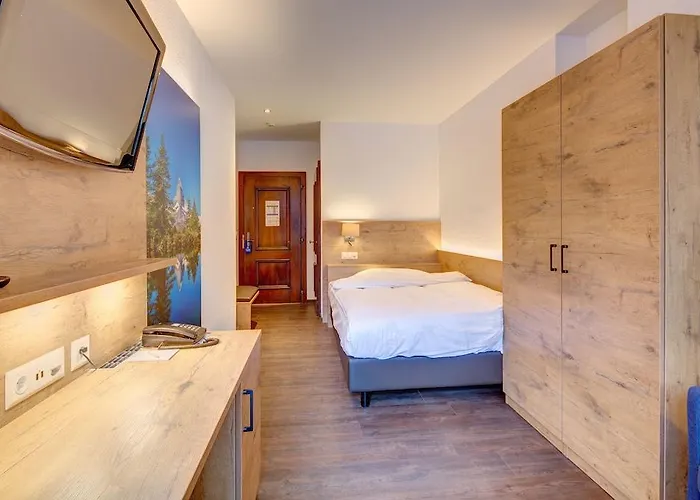 Alpen Hotel