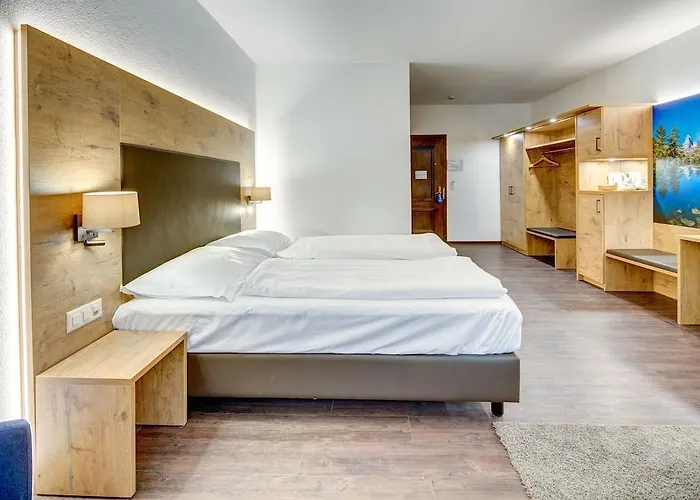 Alpen Hotel 4*
